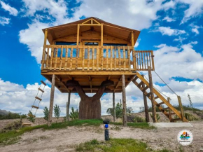 Casa de Arbol/ Treehouse